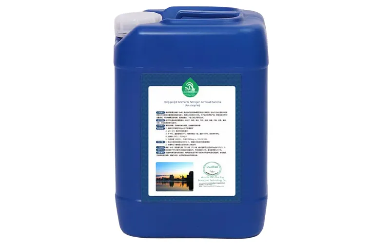 Ammoniakstickstoff-Entfernungsbakterien (Autotroph)