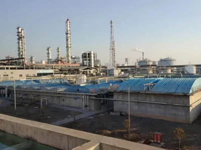 Ammoniakstickstoff-Entfernungsbakterien (Autotroph)