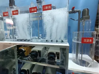 Ammoniakstickstoff-Entfernungsbakterien (Heterotroph)