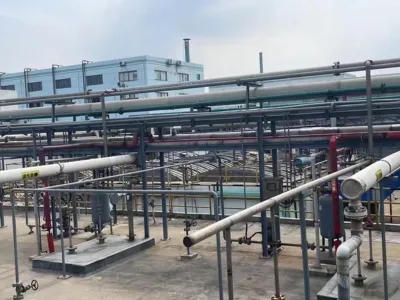 Bio-Entgiftungsbakterien