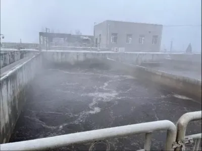 COD-Entfernungsbakterien (Aerob)