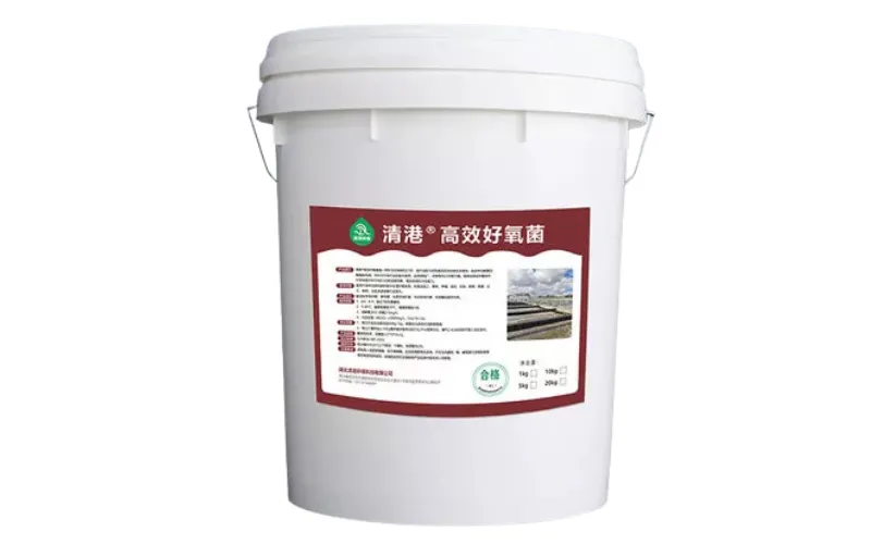 Hocheffiziente aerobe Bakterien