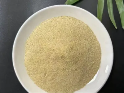 Ölentfernungsbakterien