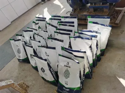 Polyphosphat-akkumulierende Bakterien