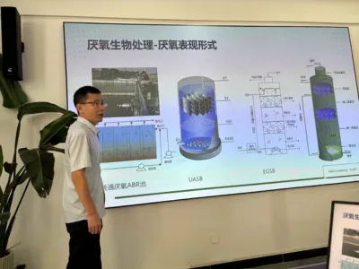 Salztolerante Gesamtstickstoff-Entfernungsbakterien