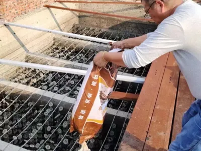 Schwefelentfernungsbakterien