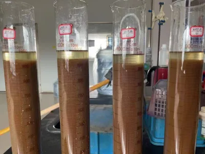 Gesamtstickstoff-Entfernungsbakterien