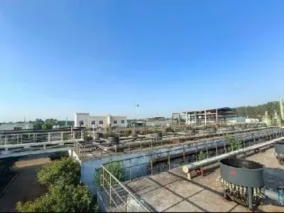 Gesamtstickstoff-Entfernungsbakterien