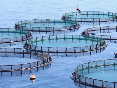 Anaerober Bio-Stimulant