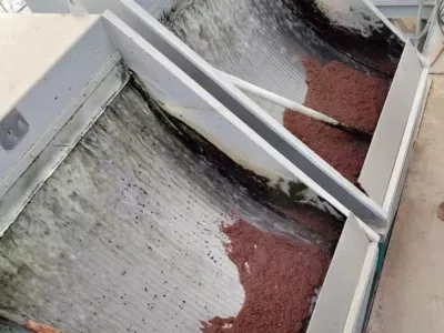 Bakterien-Aktivierungsnährstoff