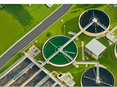 Bio-Desodorierungsbakterien