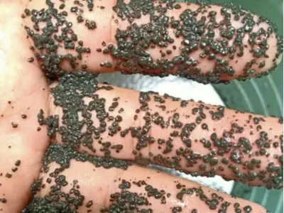 Bio-Desodorierungsbakterien