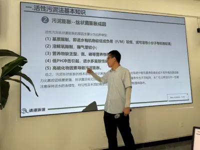 DMF Hocheffiziente Entfernungsbakterien