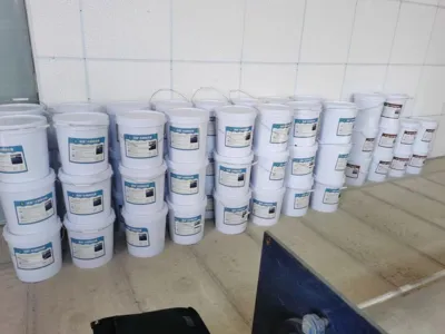 DMF Hocheffiziente Entfernungsbakterien