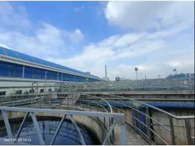 Hydrolytische Säuerungsbakterien